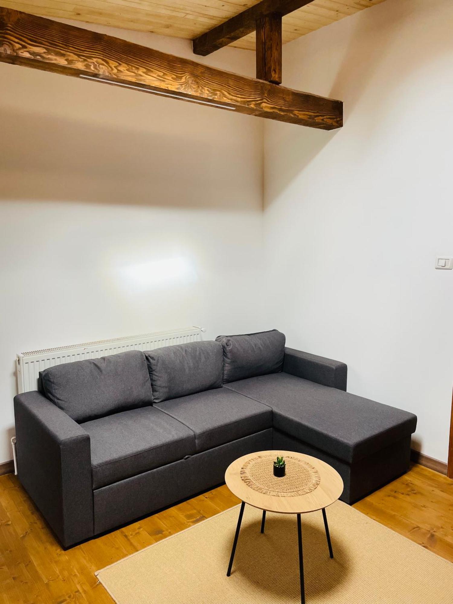 Pensiunea Ioana Borşa Kamer foto