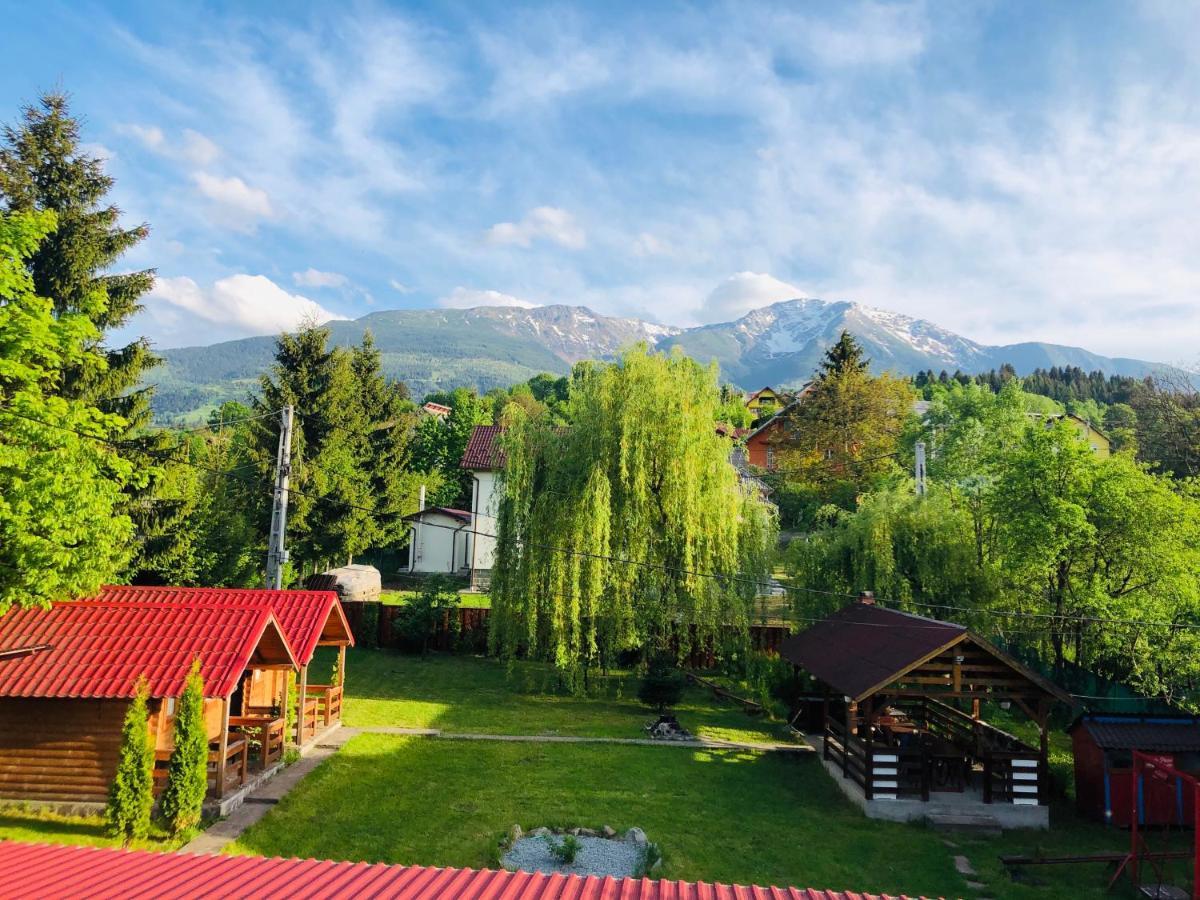 Pensiunea Ioana Hotel Borşa Buitenkant foto